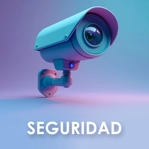 SEGURIDAD