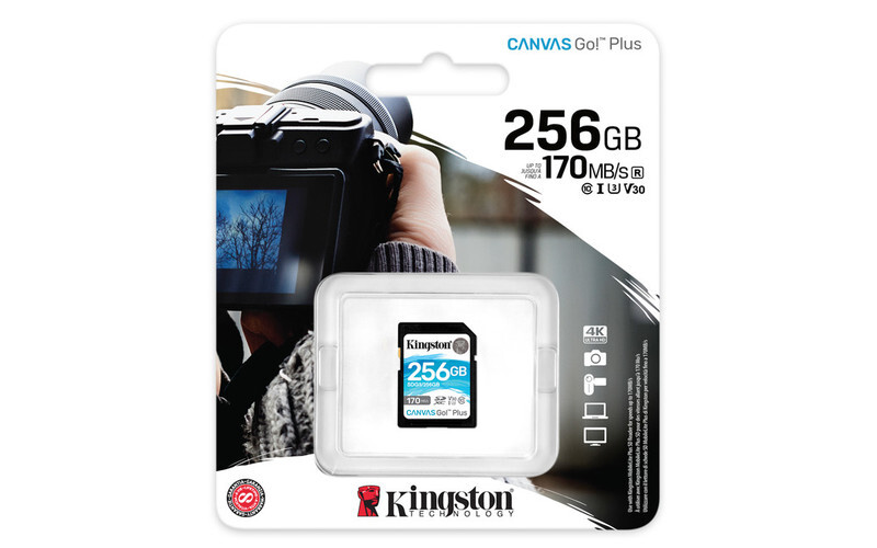 MEMORIA KINGSTON SDXC CANVAS GO! PLUS 170RC10 UHS-I U3 V30(SDG3/256GB)